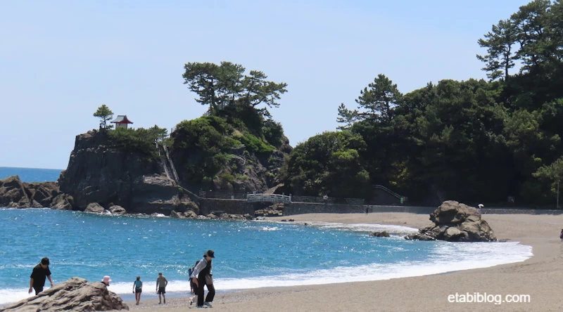 桂浜の龍王岬