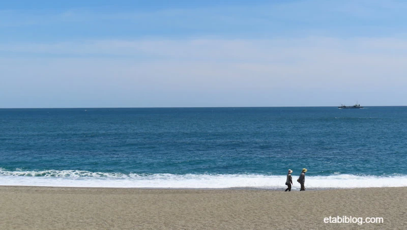 桂浜と太平洋