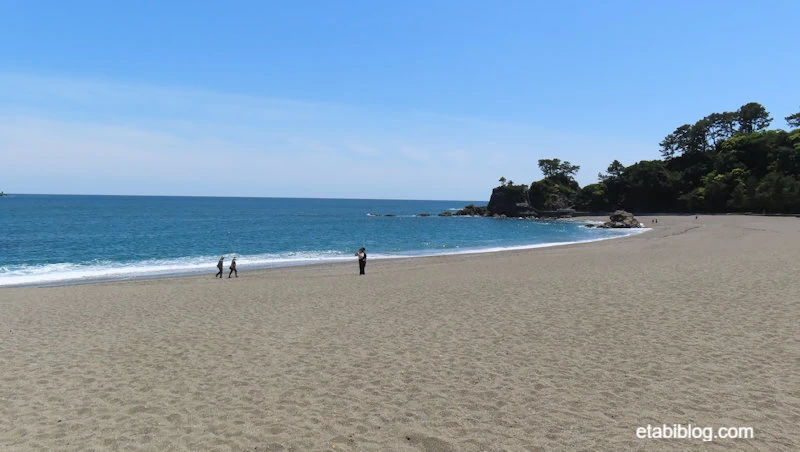 桂浜の海岸全体
