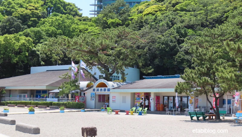 桂浜水族館