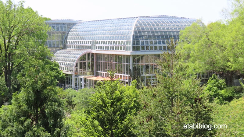 牧野植物園の温室