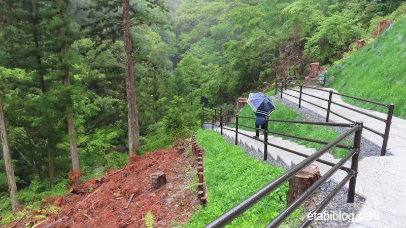 にこ渕の遊歩道と展望台