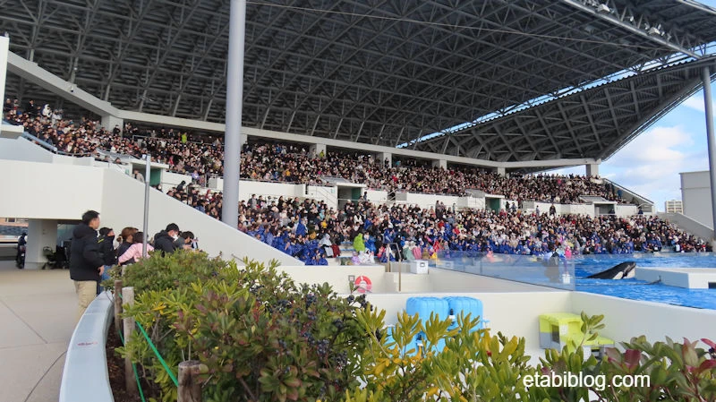 お正月の須磨シーワールド