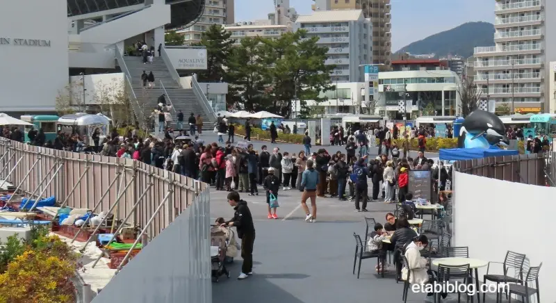 シーワールドプラザの混雑状況