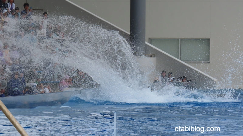 海水が飛ぶオルカスタジアム