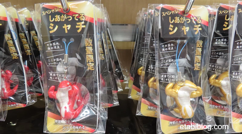 しあがってるシャチ