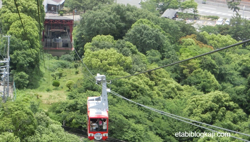 ロープウェイと山の緑