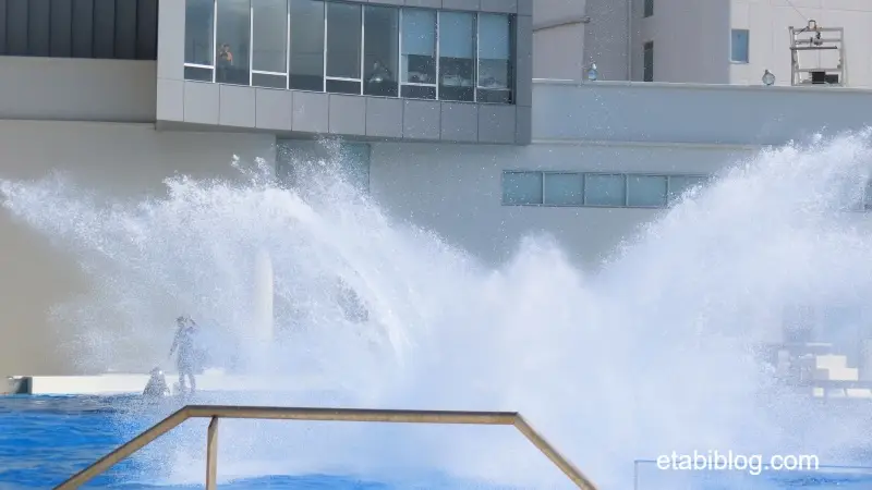 水面に落ちたときの水しぶき