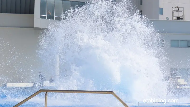 水面に落ちた後に立ちのぼる水しぶき
