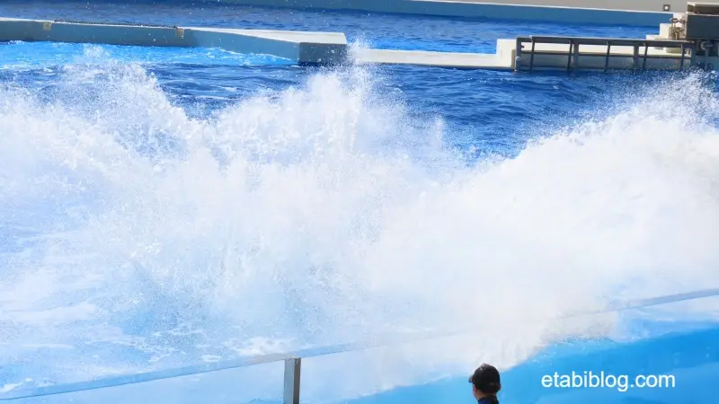 観客席のすぐ前でジャンプしたシャチの水しぶき