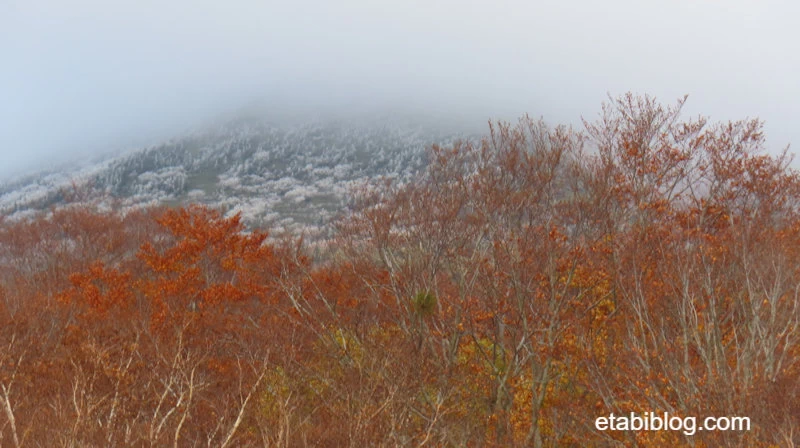 初冠雪の八甲田