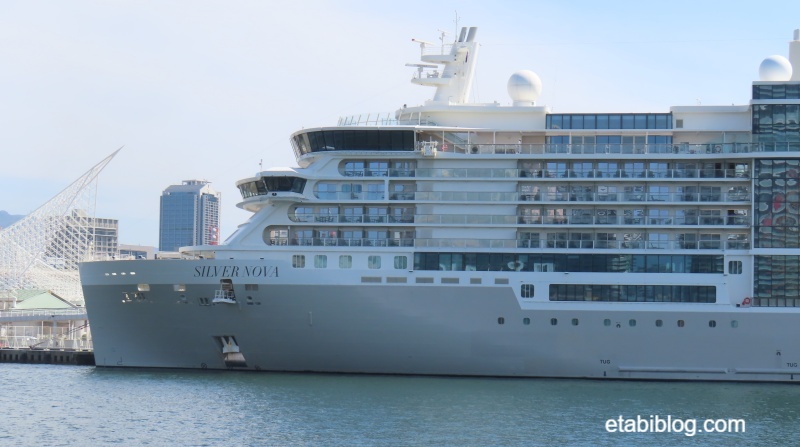 シルバーノバ（SILVER NOVA）