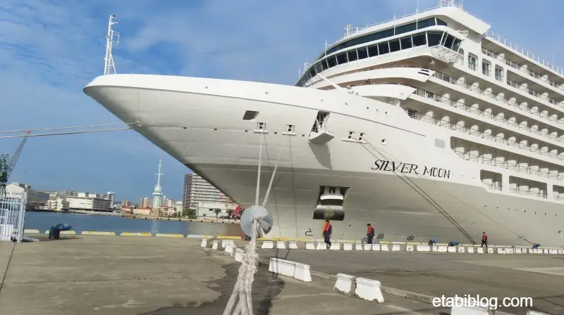 シルバームーン（SILVER MOON）