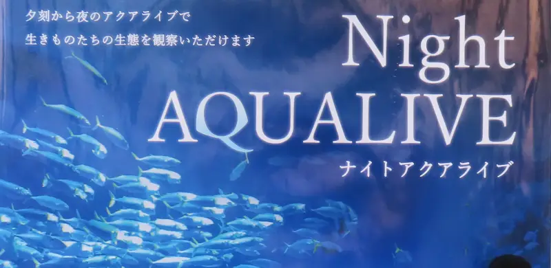 ナイトアクアライブのイベント案内