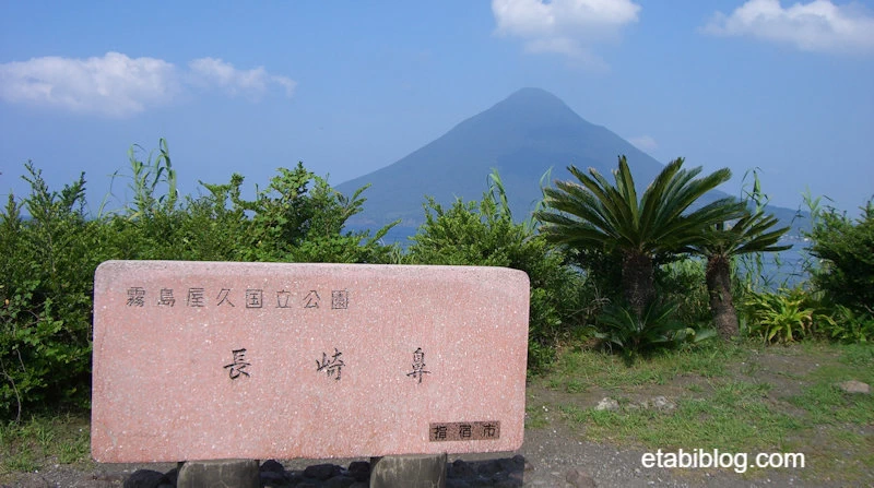 開聞岳と長﨑鼻