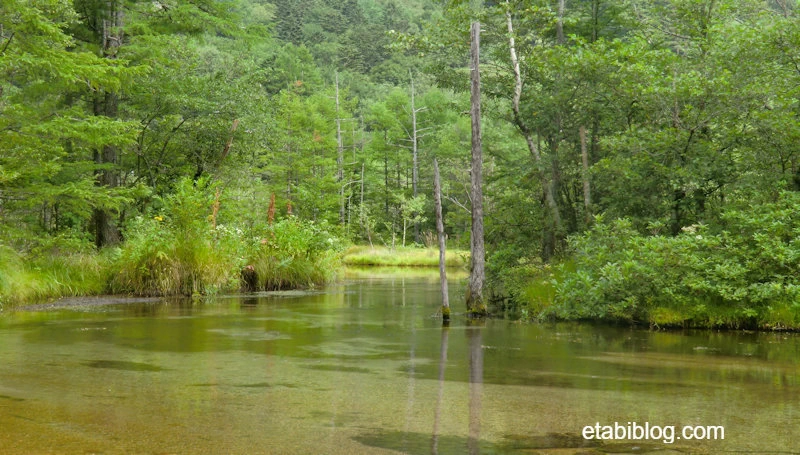 上高地のせせらぎ