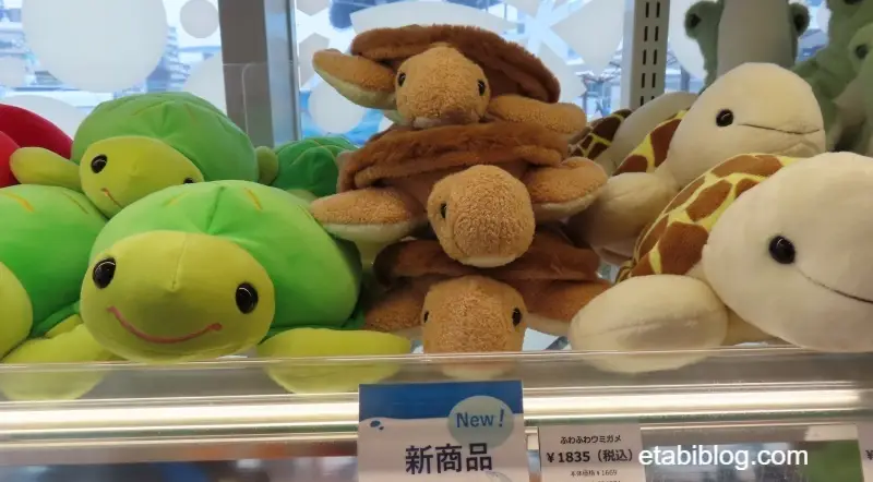 ふわふわウミガメ