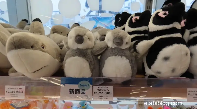 ふわふわベビー　マゼランペンギン