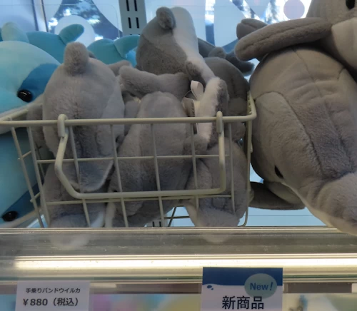 手乗りバンドウイルカ