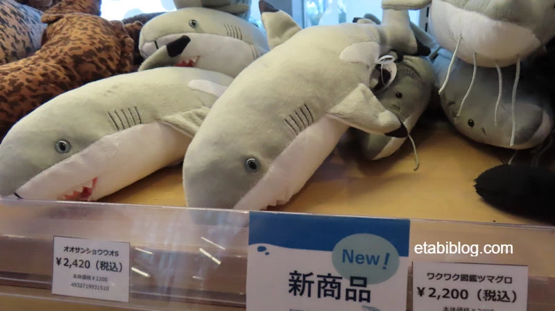 わくわく図鑑 ツマグロ