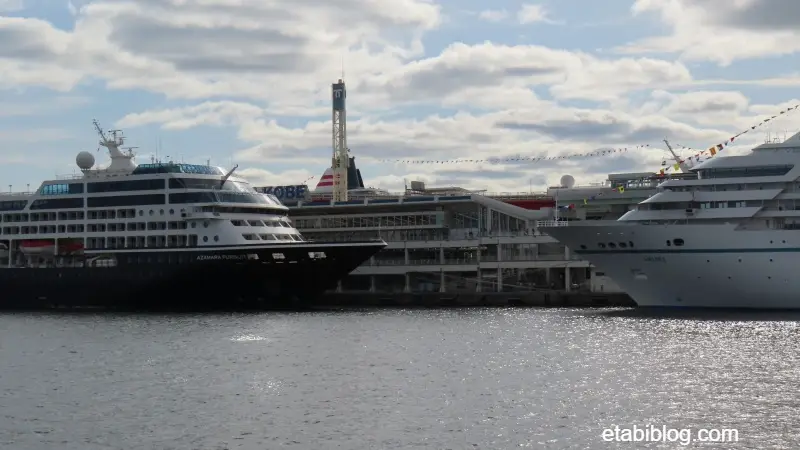 並んだアザマラ･パシュートとアマデア
