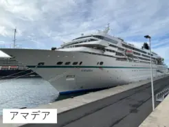 アマデアの写真