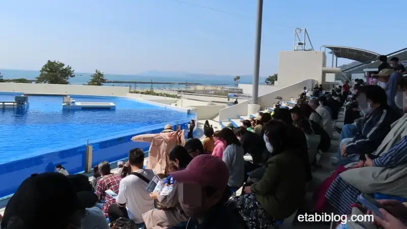 2025年4月9日のオルカショー