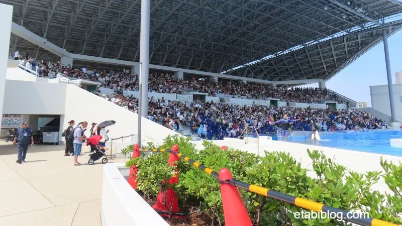 2025年6月27日のオルカショー