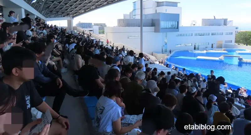 2025年7月21日のオルカショー