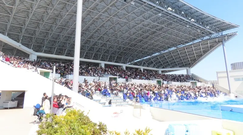 2026年3月1日の撮影