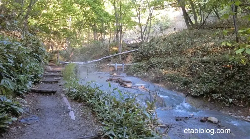 大湯沼川の遊歩道