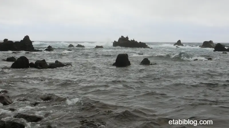 仙法志御崎公園の海岸
