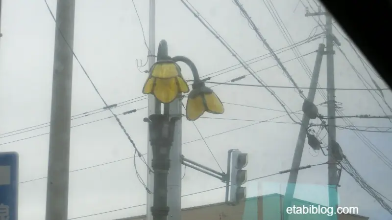 リシリヒナゲシの街頭