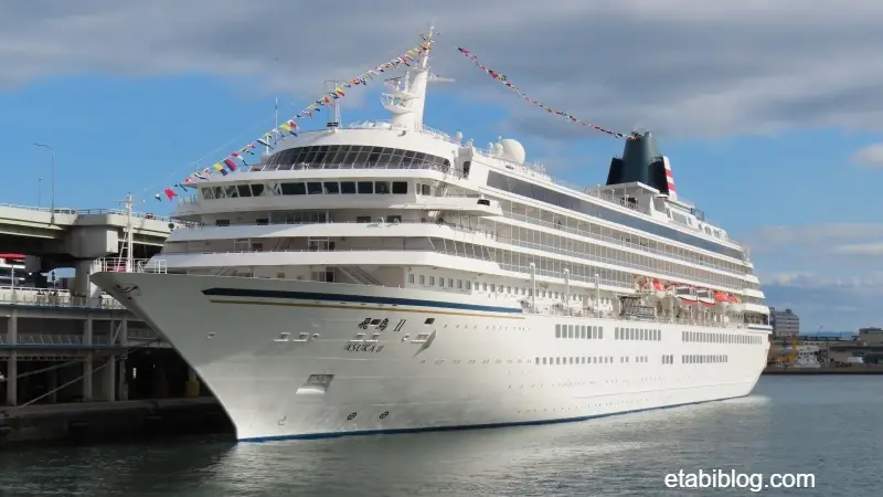 遊覧船から見た飛鳥Ⅱ