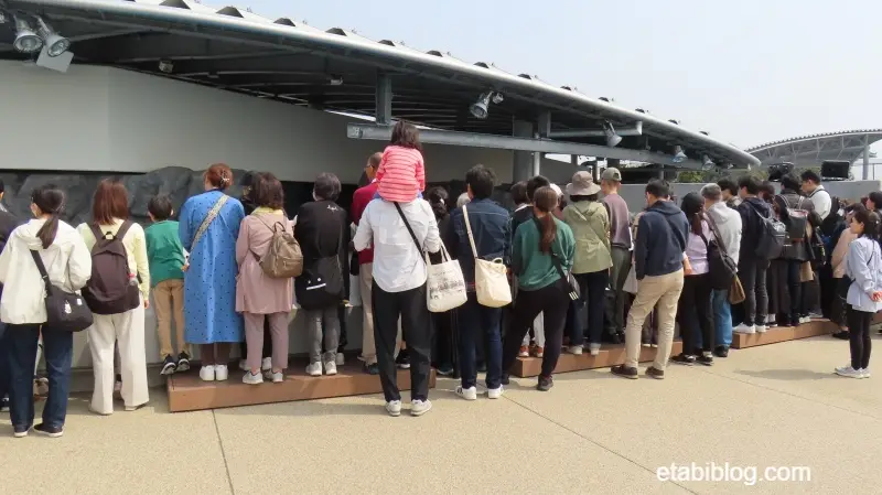 アザラシフィーディングタイムの混雑状況