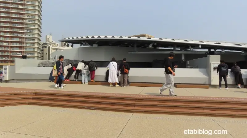 アザラシ施設の前に人がいないとき