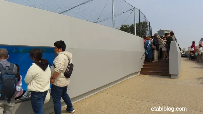 ペンギン施設の前