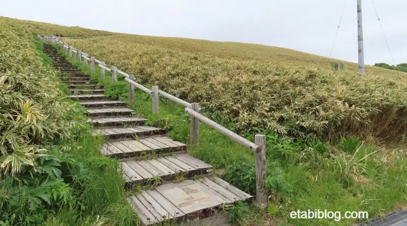 神威岬と神威岩が見える展望台への遊歩道