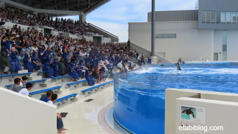 須磨シーワールドのオルカスタジアム