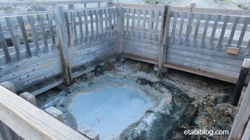登別地獄谷の鉄泉池