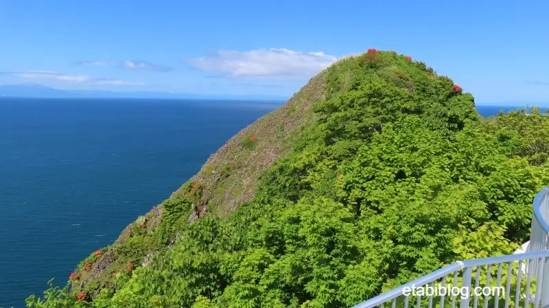 地球岬と太平洋