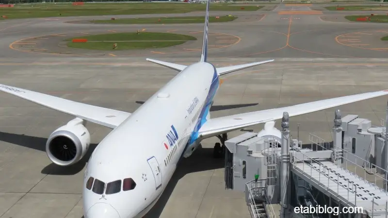 新千歳空港で駐機中の飛行機