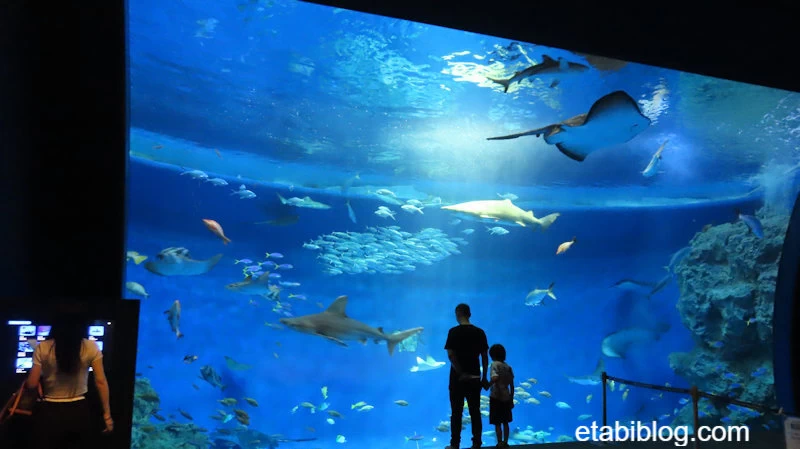 須磨シーワールドの水族館