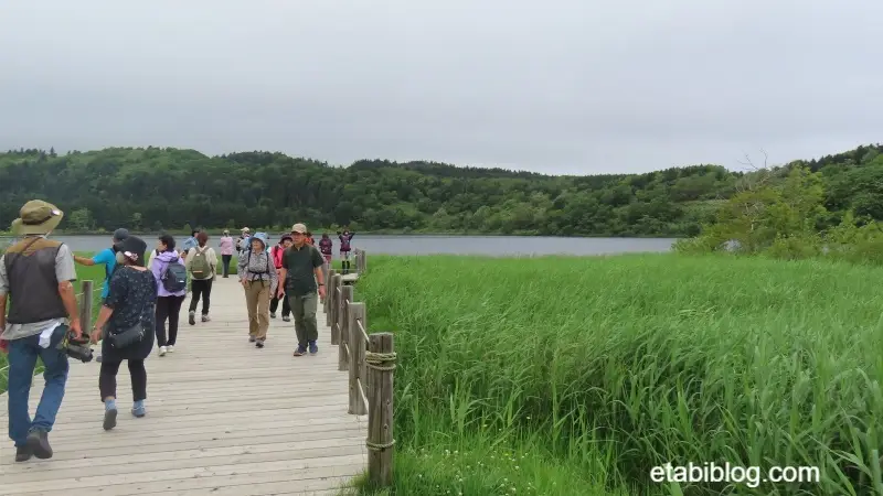 オタトマリ沼の遊歩道