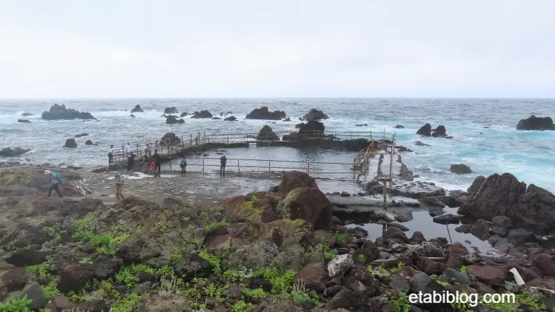 仙法志御崎公園アザラシのプール