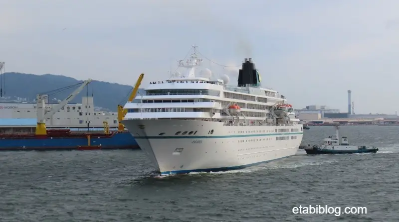 アマデア（AMADEA）