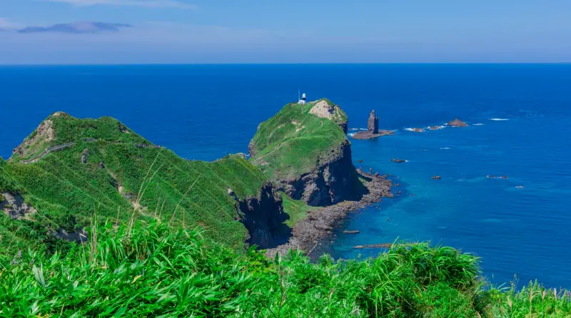 神威岬と神威岩が見える展望台からの風景
