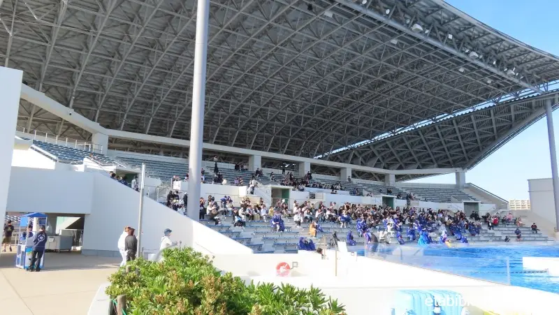 火曜日3回目のオルカスタジアム
