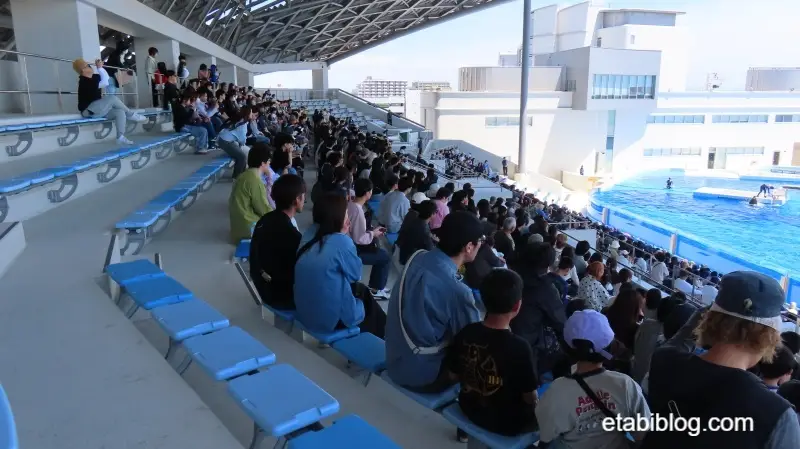 ゴールデンウィーク最後の土曜日の2回目のオルカスタジアム