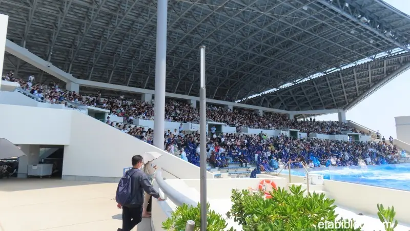 7月18日（土）夏休み初日の1回目のオルカスタジアム